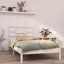 Bed Frame Solid Wood-148374681-148374693