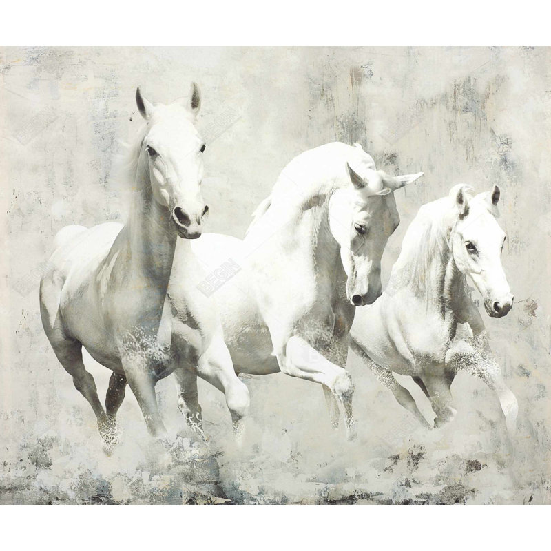 Trois chevaux blancs qui courent - Toile encadrée, décoration intérieure