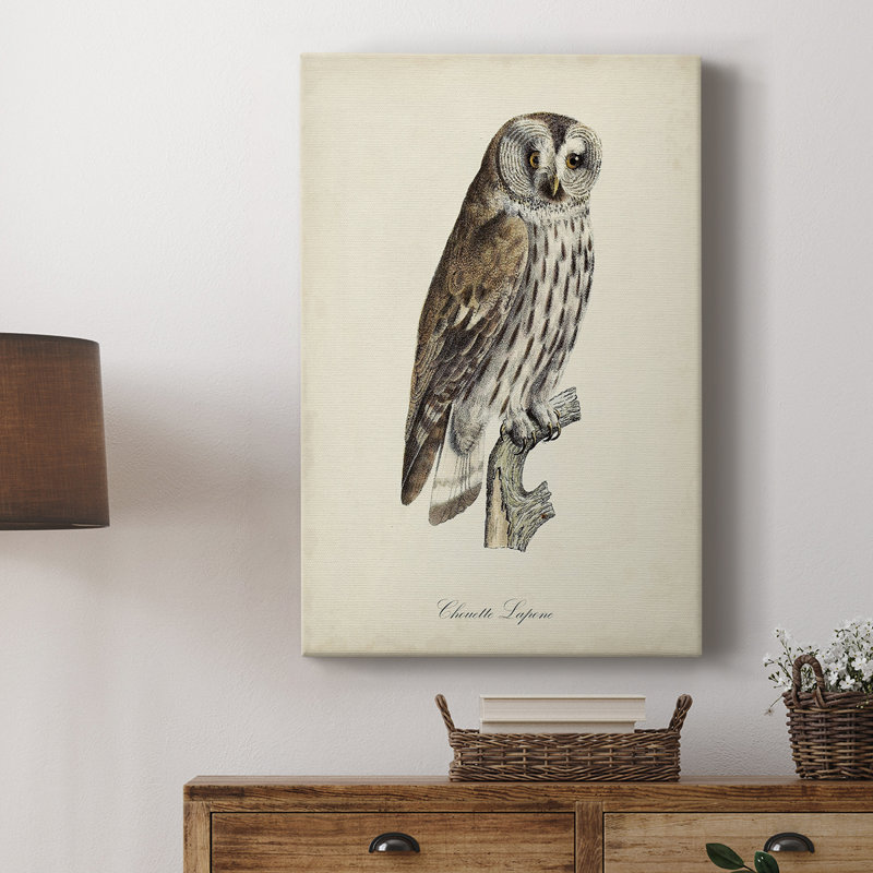 French Owls III - Gallery Cavas sur mesure, H 18 po x l 12 po