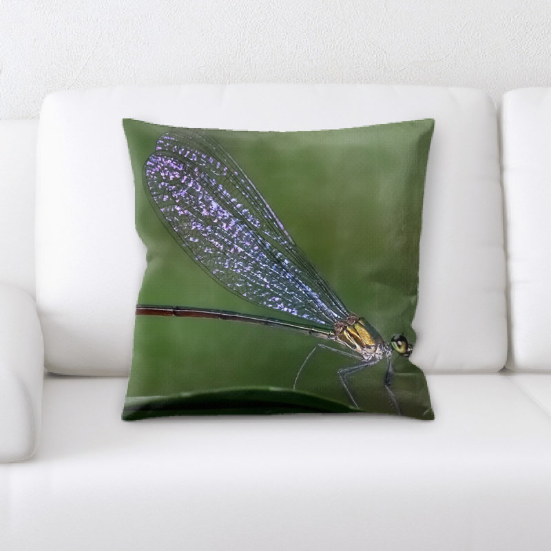 Coussin damselfly