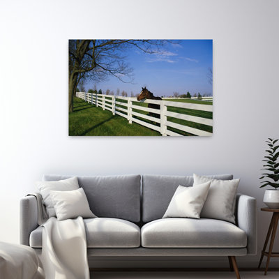 Thoroughbred Horse Lexington Ky Abstract Contemporary Horse Animal Architecture Art