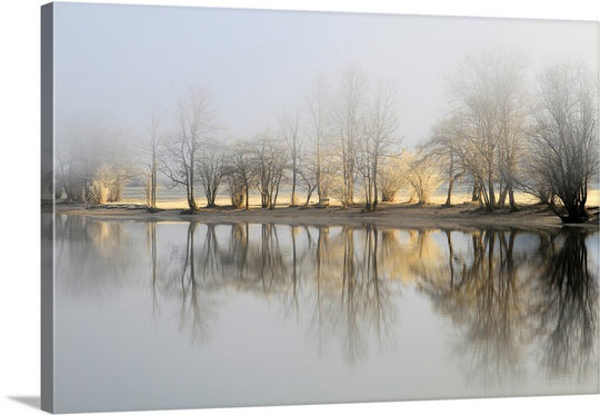 Le matin de janvier, reproduction de photo sur toile, H 32 po x l 48 po x P 1,25 po