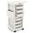 Milliana Multifunctional Lockable Utility Cart for Salon Stations-98081042