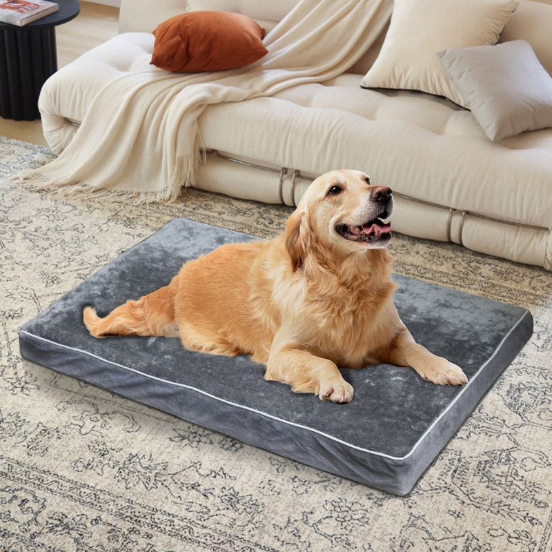 Lits orthopédiques Luxury Dog Bed