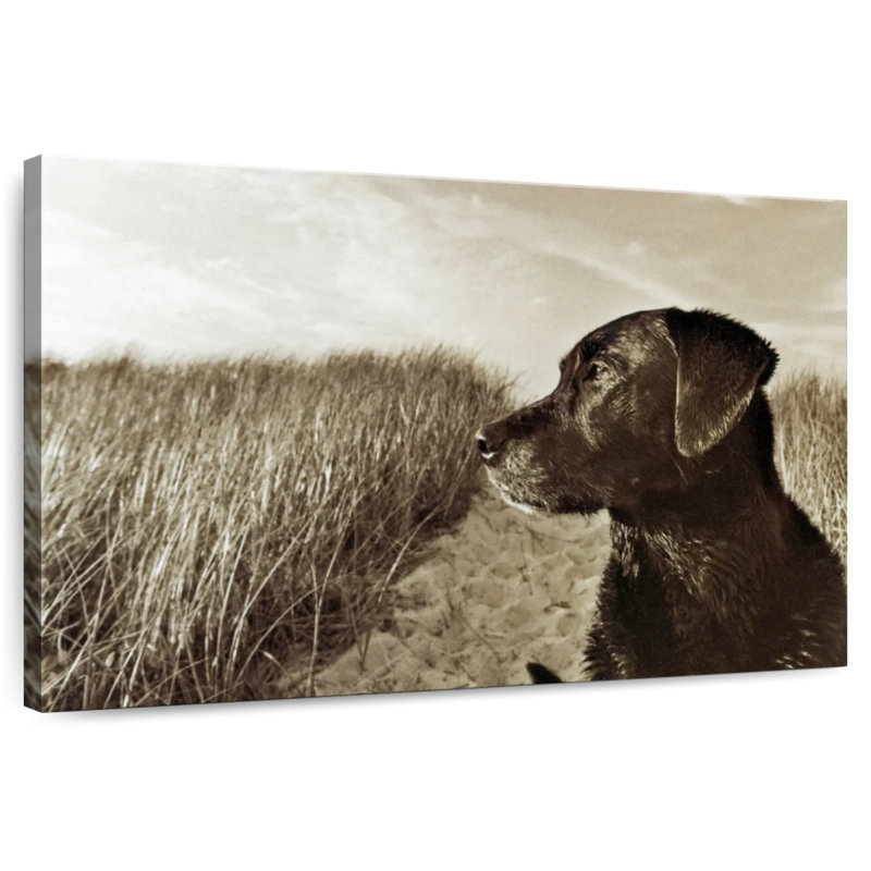 Black Lab At The Beach, 8" H x 12" W