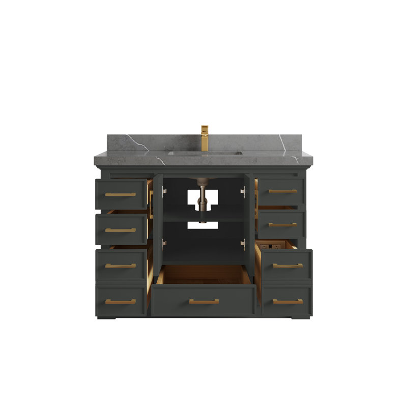 Charlotte 48'' Single Bathroom Vanity with Top, Piatra Gray