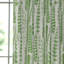 Ferns - Juniper