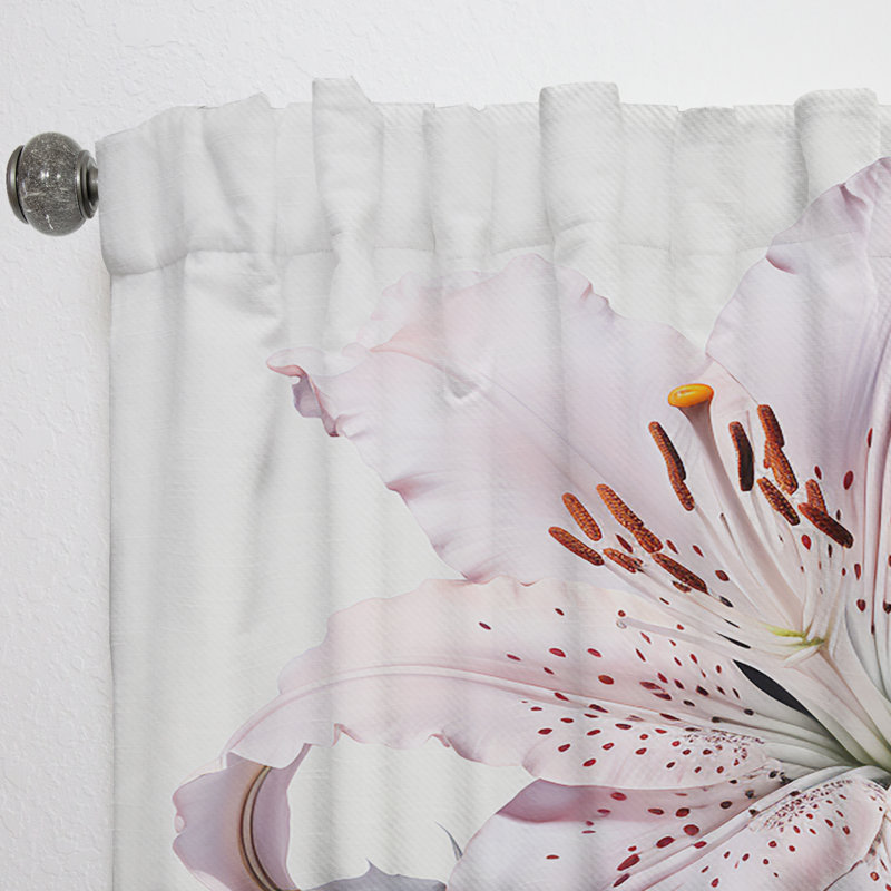 Galgano Hibiscus Glimmering Beauty I - Traditional Velvet Curtain - Room Darkening - 1 Panel, 52" W x 120" L
