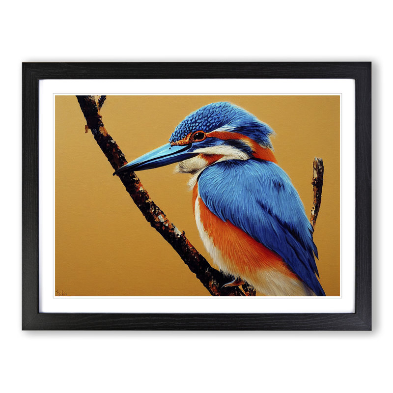 Blessed Kingfisher Bird - Framed Print, Black, 25cm H x 34cm W x 2cm D