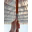 Parasol Tropical