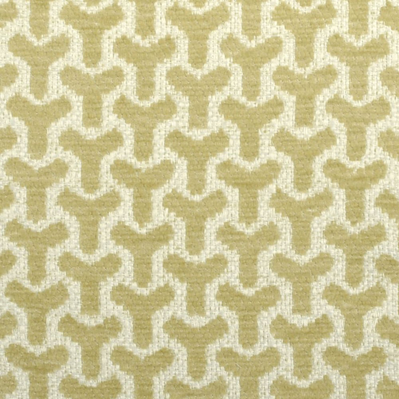 Enchanted Fabric