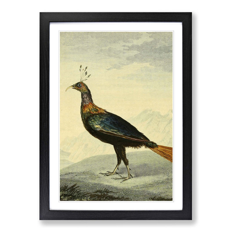 Charles Reuben Ryley - Single Picture Frame Painting, Black