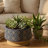 Hea Decorative Planter, Blue Gold Moroccan Pattern Footed Bowl, 10 Inch