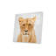 Lionne, impression sur verre acrylique-87928324