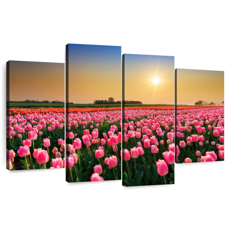 Alvord Netherlands Tulip Field