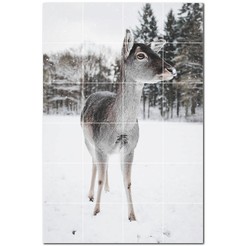 Photo de cerf 4,25 x 4,25