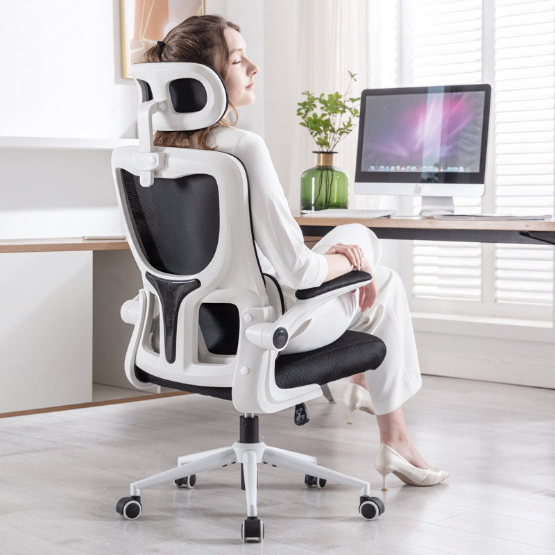 Tunney Ergonomic Height-Adjustable Mesh Office Chair with Headrest, White/Black