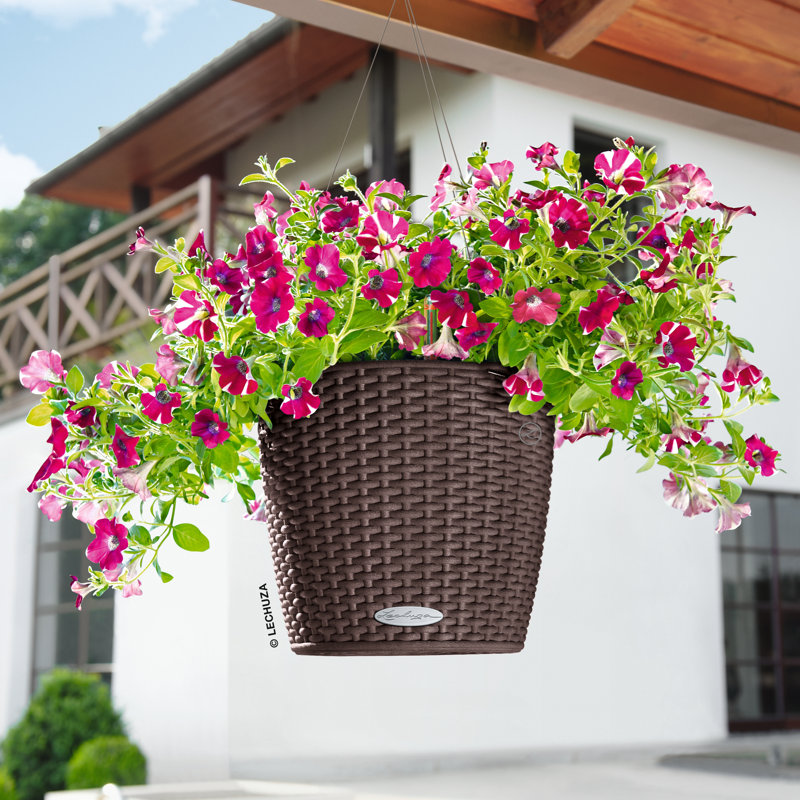 Hanging Planter, Mocha, 23cm H x 27cm W x 27cm D