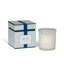 Park Hill Collection Candles Citrus Jar Candle