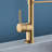 Topcraft Single Handle Pull Down Kitchen Faucet