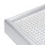 Plant Grow Light
