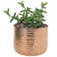 15.2 cm Hammered Style Succulent Planter Pot