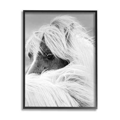 " Horse Gazing Windblown Mane " by Danita Delimont