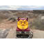 ASU Sun Devil Portable Liquid Propane Gas Grill