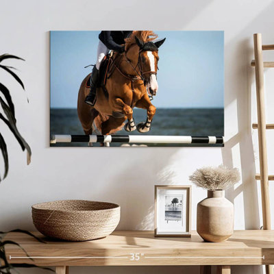 Sireci Equestrian
