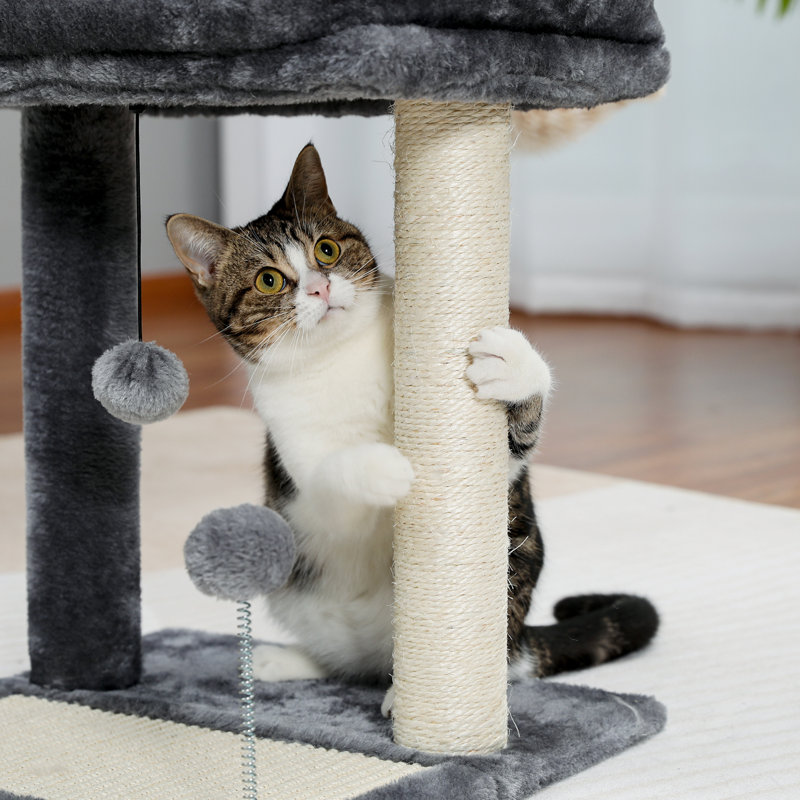 Cullinan 17.4'' H Cat Tree