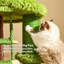 Cadre d'escalade moderne pour chat