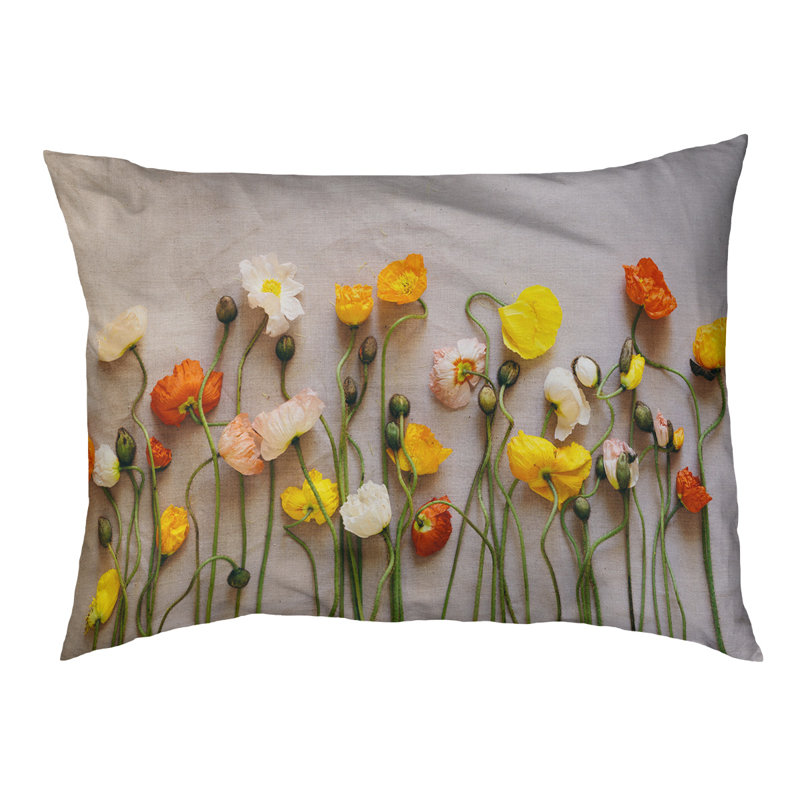 Coussin de concepteur de fleurs séchées Burien, L 19,5 po x l 29,5 po, Noir