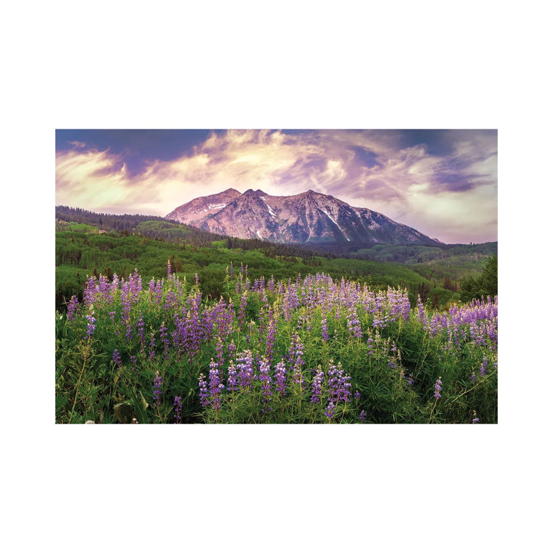 Colorado Wildflowers Summer Landscape - Kebler Pass Lupine Flowers 1 Piece Wall Art on Canvas, Does Not Apply