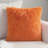 Throw Pillow-100638493-100638495