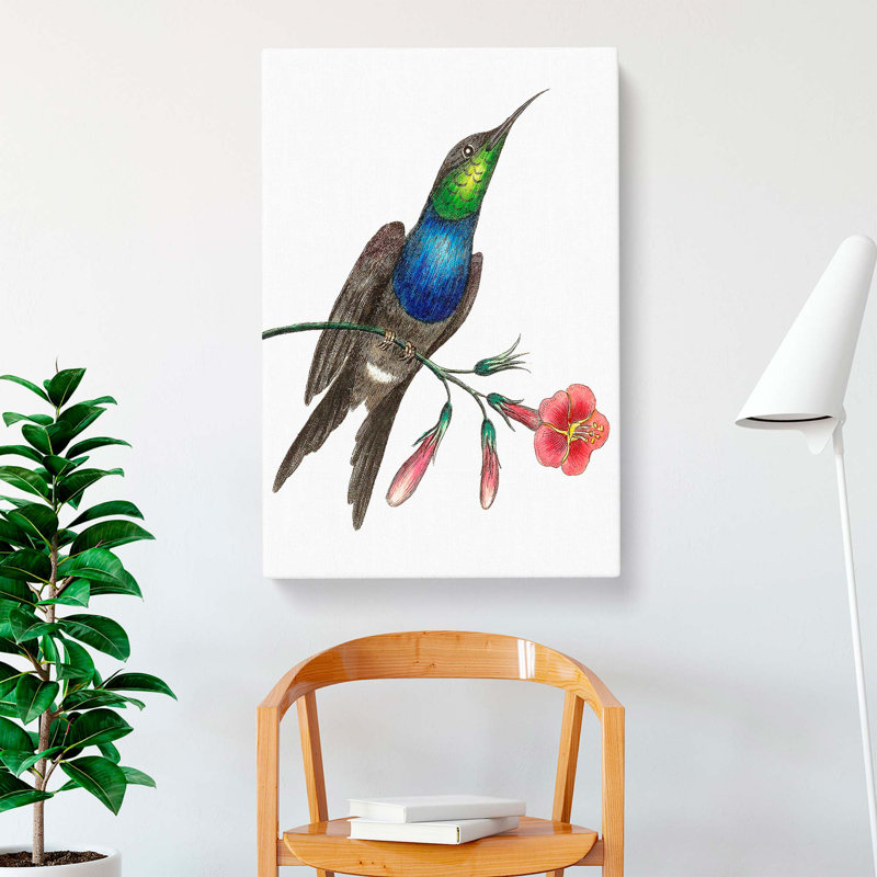 Furcated Hummingbird by George Shaw - Wrapped Canvas Painting, 50cm H x 35cm W x 3cm D