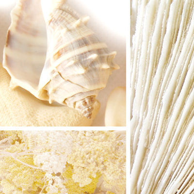 Spa Collage II