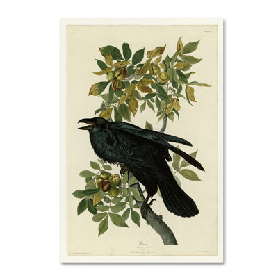 « ravenplate 101 », reproduction sur toile tendue