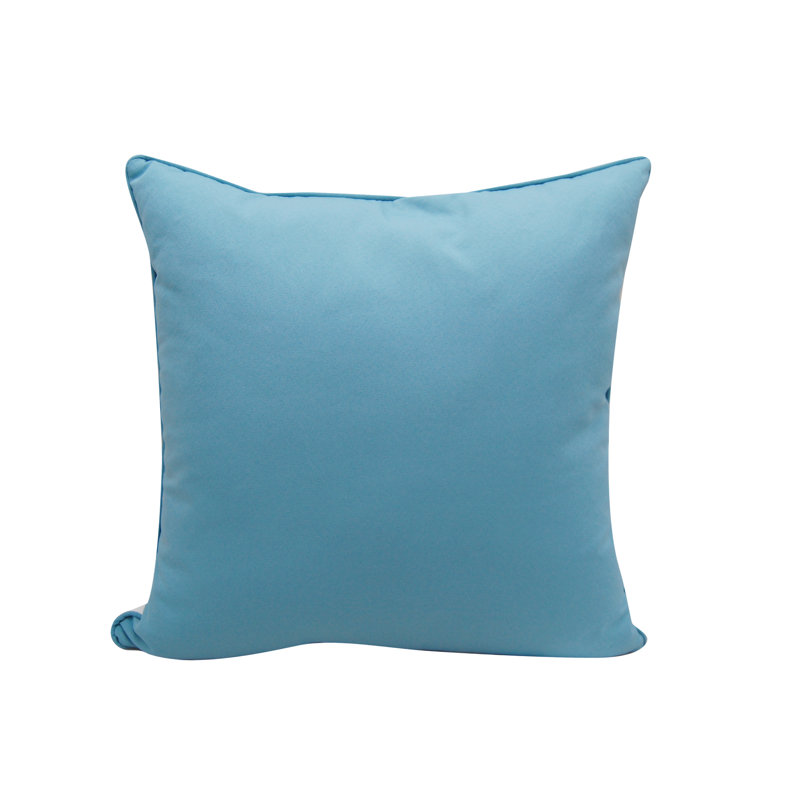 Throw Square Indoor/Outdoor Pillow Cover & Insert