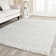 Schaeffer Solid Colour Area Rug