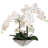 Phalaenopsis Orchid Floral Arrangement in Vase-136407377