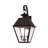 Arnetria Wall Light-22670213