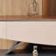 Meuble télé simple, moderne et luxueux-106005216