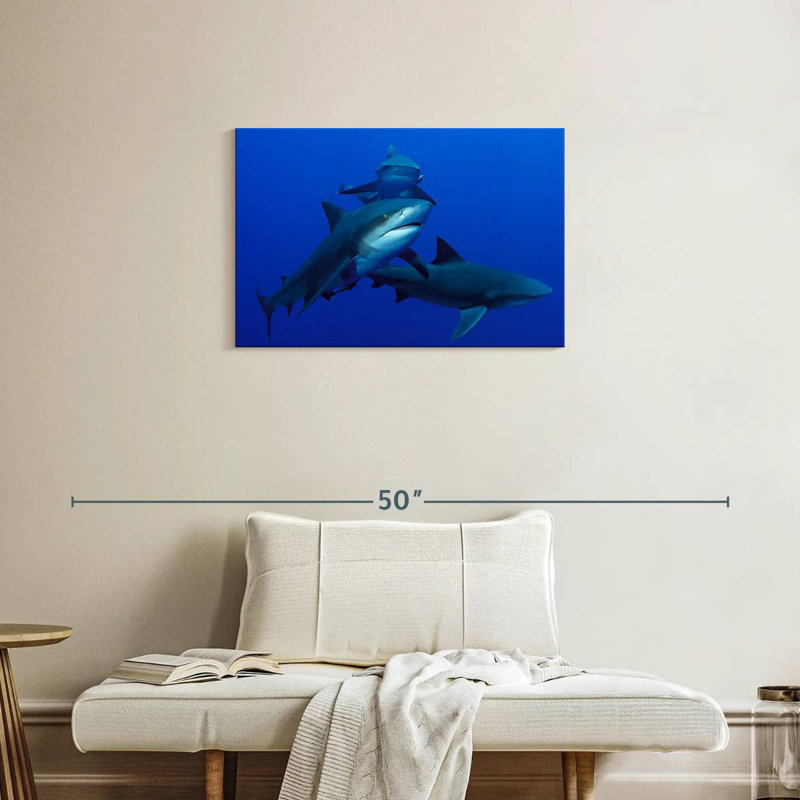 Triple Sharks, 20" H x 30" W