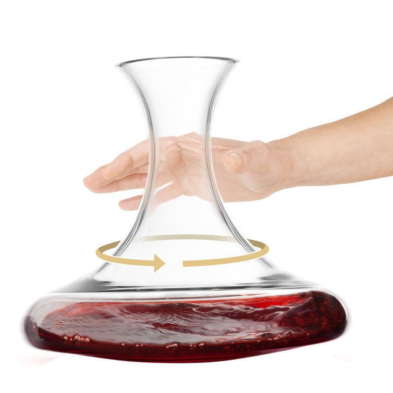 Ivy Bronx Revolve Wine Decanter