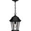 1-Light Outdoor Black Hanging Lantern Pendant with Clear Beveled Glass