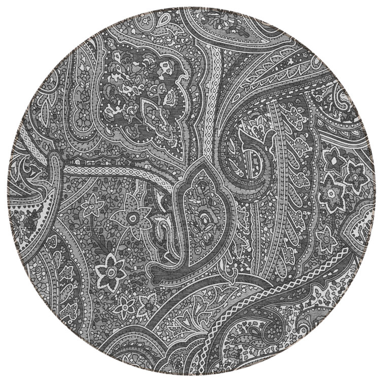 Itzayani Paisley Rug