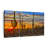 " Sunset Cactus " 3 - Pieces-92790341