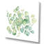 " Green Eucalyptus Bouquet On White " Painting Print-66807462-66807465