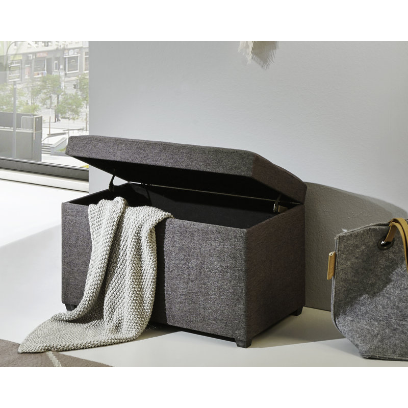 Mekeda 58cm Wide Rectangle Solid Colour Ottoman with Storage