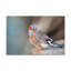 No Frame Print on Canvas-1499128609